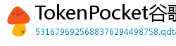 TokenPocket谷歌商店下载 - Google Play商店TokenPocket正版安装指南